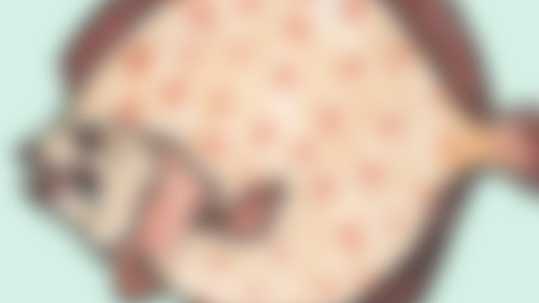 Allemaal tegelijk dood, op hoge leeftijd en gezond