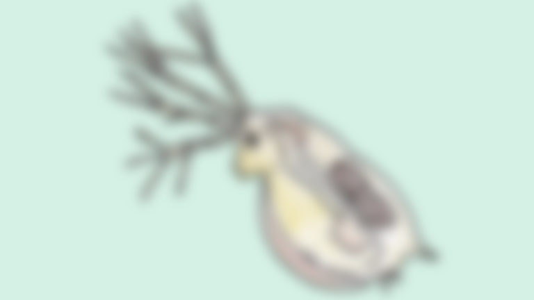 Zingen van Sint Maarten tot Bob Dylan