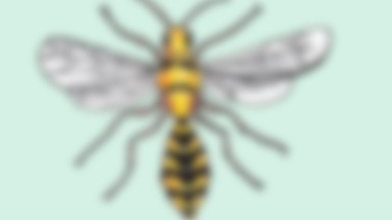 Spoedcursus wetenschap voor de president