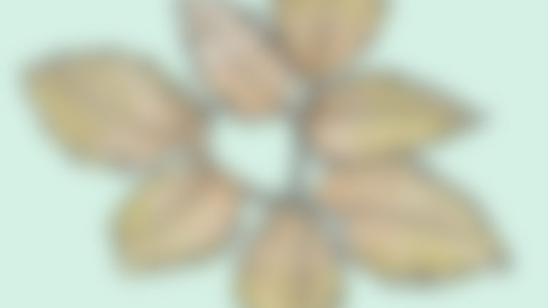 De pijl van de tijd wijst maar één kant op