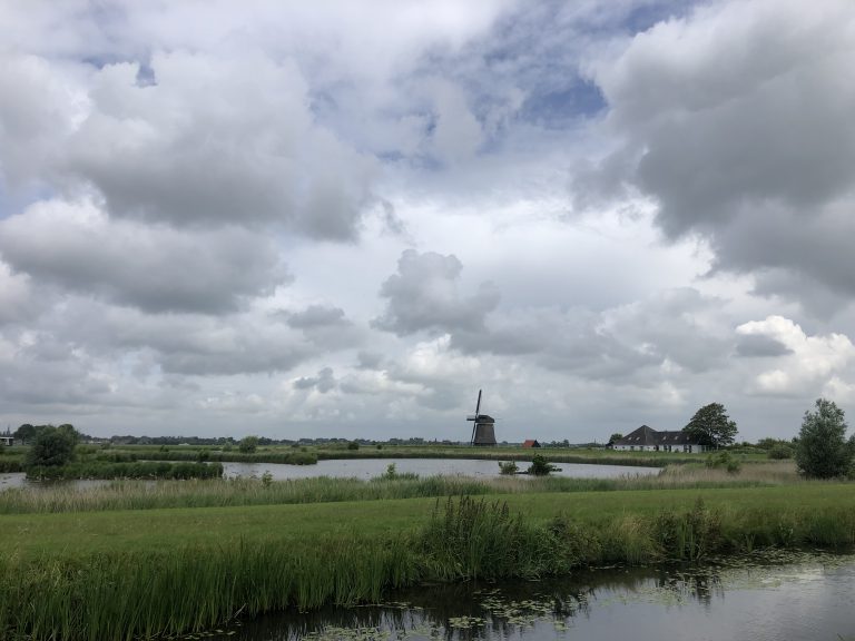 Uit de klei getrokken