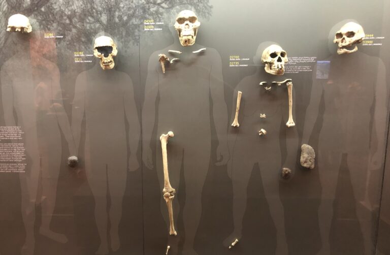 Onthaal door Georgische familie