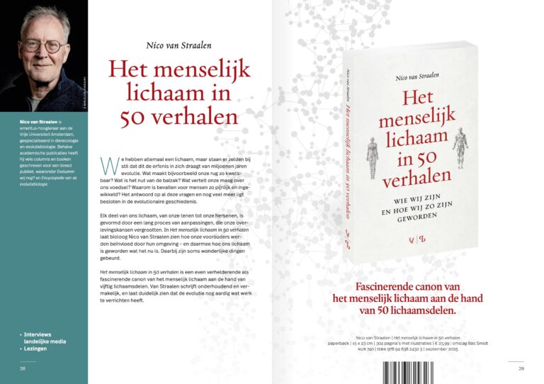 Kunstmatig intelligente bagger