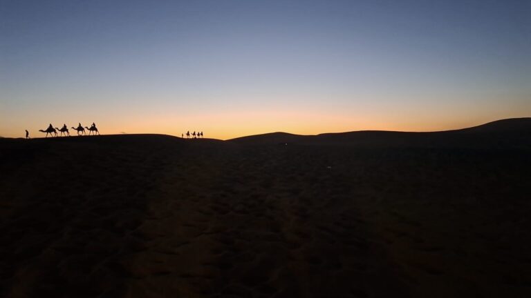 De tol die hitte vraagt