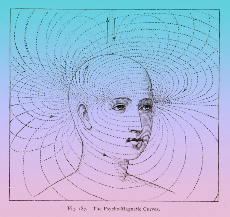 Bewustzijn is overal