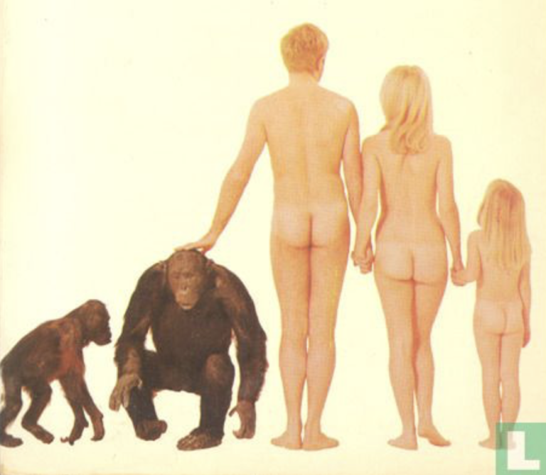 Het einde van de naakte aap